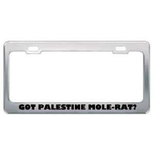 Got Palestine Mole Rat? Animals Pets Metal License Plate Frame Holder 