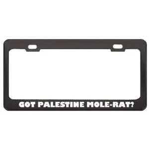 Got Palestine Mole Rat? Animals Pets Black Metal License Plate Frame 