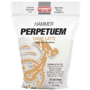   2011 Hammer Nutrition Perpetuem Endurance Fuel