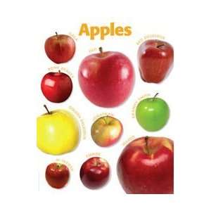  Teachers Friend 978 0 545 11893 4 Apples Photo Chart 