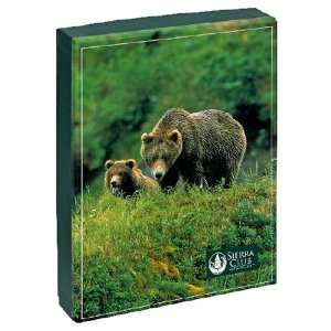  Pomegranate Sierra Club Bears Standard Boxed Note Card Set 