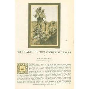  1905 Palm Trees of Colorado Desert illustrated Everything 