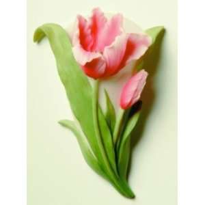  Tulip Wall Vase