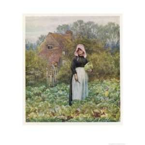 Picking Vegetables in an English Vegetable Garden Giclee Poster Print 