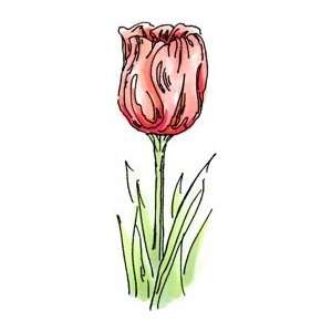  Closed Tulip   Shady Tree Studio Wood Mounted Red Rubber 