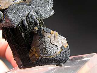   siderite rhombohedrons that are altering to limonite sit atop a