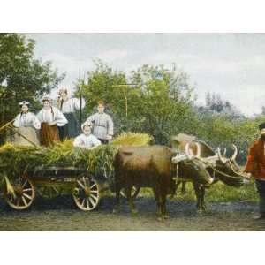  A Group of Farm Workers in the Ukraine, Russian Empire, at 