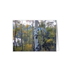  Autumn Aspens by Mountain Lake Card Health & Personal 