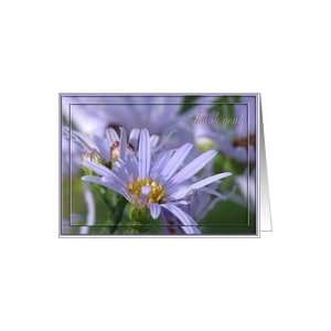  Purple English Aster Flowers, Administrative Professionals 