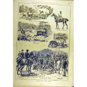   1882 Deer Windsor Forest Hunting Huntsman Sport Print