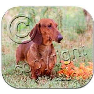   NEW Dachshund Red Mousepad Barbara Augello Collection