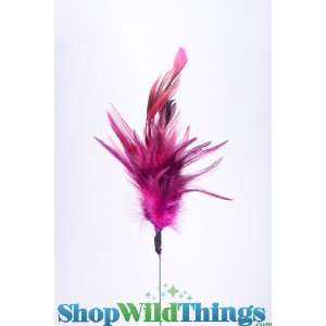  Peacock Feathers on a Stick   Fuschia Pink Beauty