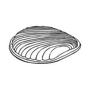 Lid Plastic Clear Shell Dome 25 Per Case (P6174)  Kitchen 