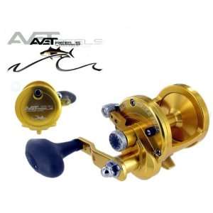 Avet MXL 5.81 Lever Drag Gold Fishing Reel NEW  Sports 