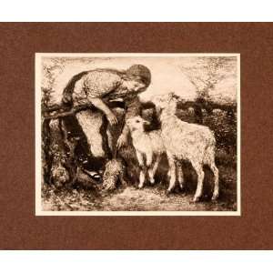 1907 Photogravure Shepherdess Woman Farm Goat Pasture Art Netherlands 