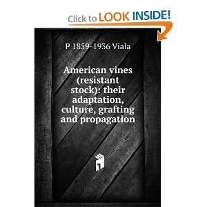 American vines (resistant stock) their adaptation, culture, grafting 