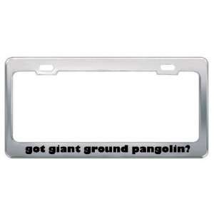 Got Giant Ground Pangolin? Animals Pets Metal License Plate Frame 