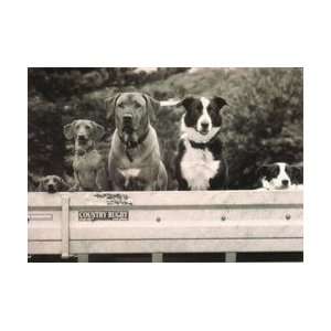  Dog Group Goodbye Card
