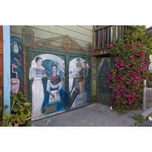   Mural Balmy Alley San Francisco California 24 X 17 