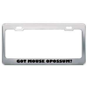  Got Mouse Opossum? Animals Pets Metal License Plate Frame 