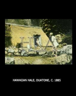 Hawaii Hale Art Hawaiian Hale Duatone 3164  
