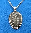 Fossil Trilobite Necklace Pendant, Sterling Silver, Elr