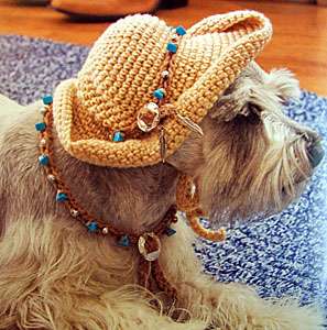   projects for your canine pages 40 condition new blings things for