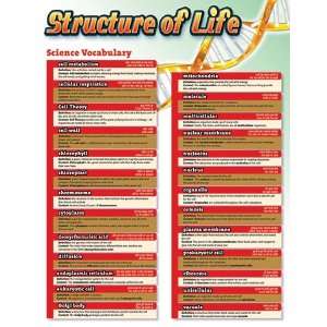    Science Vocabulary Structure Of Life Chartlet Toys & Games