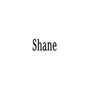  Shane Laser Name Italian Charm Link Jewelry