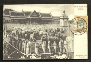 Ajuthia Ayutthaya Wild Elephants Siam stamp ca 1899  