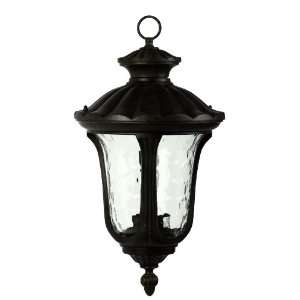   Tori Collection 16.75 Inch Incandescent Hanging Exterior Light Black