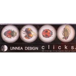 Linnea Insect Magnets 4 Pack