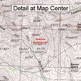 USGS Topographic Quadrangle Map   Bellevue, Idaho (Folded/Waterproof 