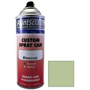  12.5 Oz. Spray Can of Silver Green Metallic Touch Up Paint 