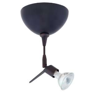 Besa Lighting Tipster Bronze Spotlight with Dome Canopy 