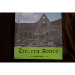 Tintern Abbey Vintage Puzzle (More Than 500 Peices)