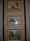 VINTAGE FRAMED ART PICTURE, CA BARNHILL GAME BIRD GEESE WOOKCOCK 