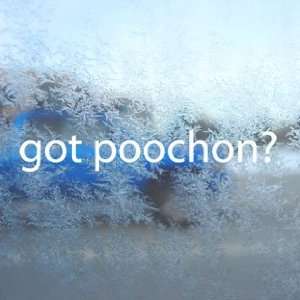 Got Poochon? White Decal Bichon Frise Poodle Car White 