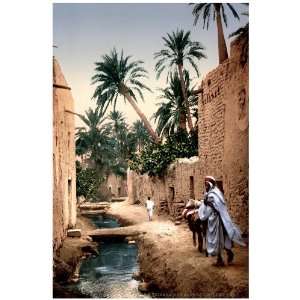 11x 14 Poster.  Alger Biskra  Poster. Decor with Unusual images 