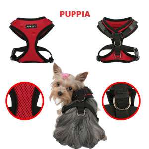 bella chuey just love their new puppia superior harness confused here 