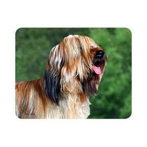  Briard Coasters