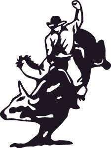 BULL RIDER RODEO COWBOY PBR RIDING RING 8 SECOND STICKER/DECAL CHOOSE 