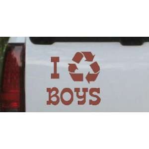 6in X 6in Brown    I Recycle Boys Funny Car Window Wall Laptop Decal 