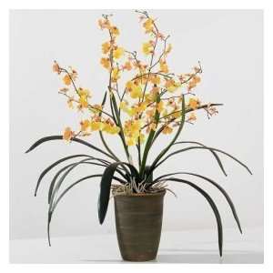 Yellow Dancing Orchids in Pot (28 Inch Tall) 