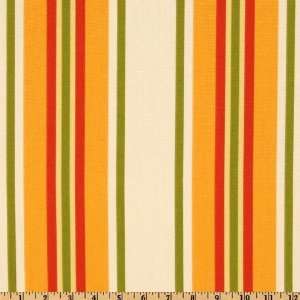 Wide Swavelle/Mill Creek Indoor/Outdoor Trudy Stripe Mandarin Fabric 