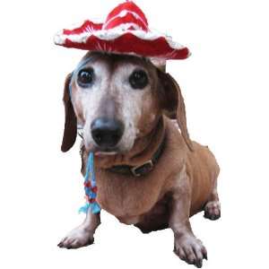    Rumba Red Miniature Sombrero for Dogs and Cats