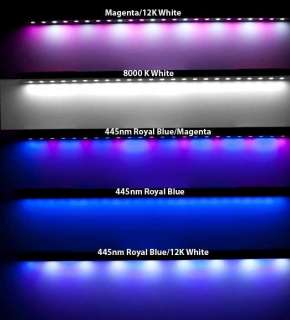 Ecoxotic 48 LED Stunner WHITE/BLUE Live Coral FREESHIP  
