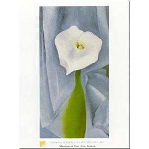 Calla Lilly On Grey Poster Print