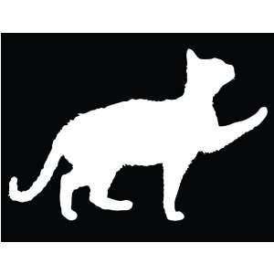  5 Cat Pet Car Decal Window Sticker   WHITE Automotive