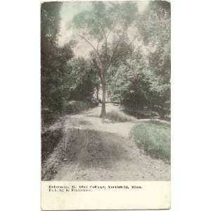   Vintage Postcard Driveway   St. Olaf College   Northfield Minnesota